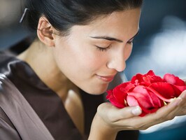shutterstock_2335634217_bg