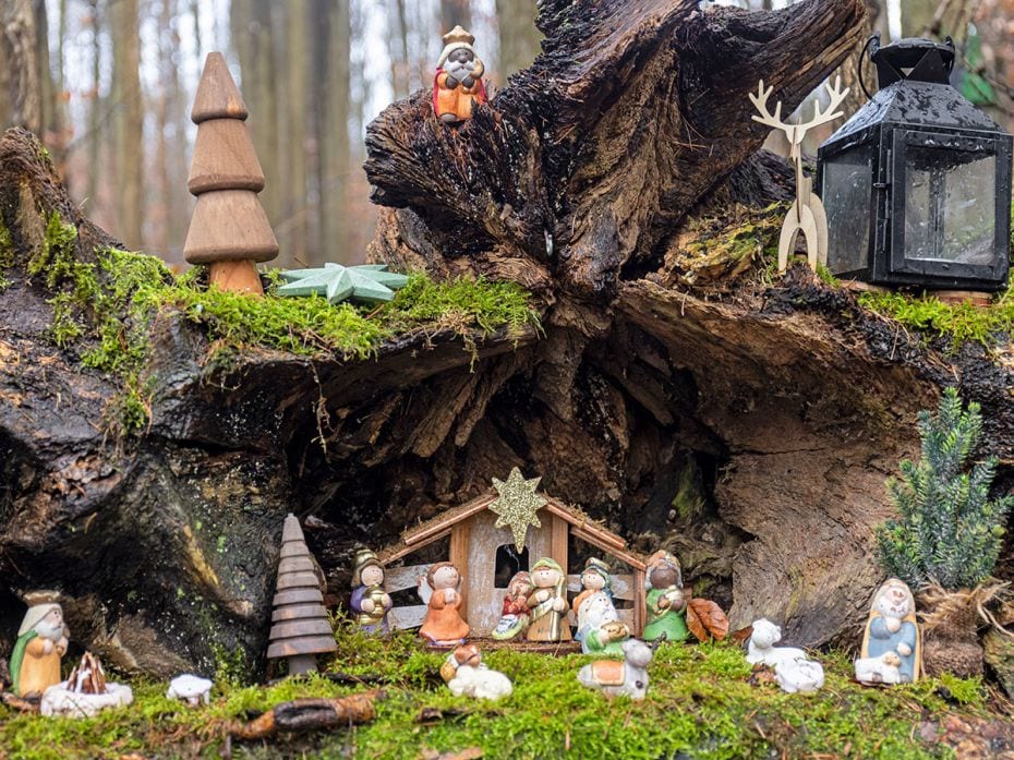 Over 60 Nnativity scenes, like the one above, line a two-kilometre circular route in the forest at t